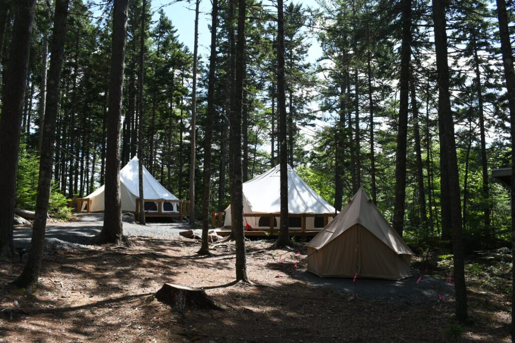 Three canvas tents located in a wooded area, with sunshine coming through the branches.