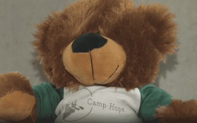 Camp offers sanctuary for young survivors of sexual abuse